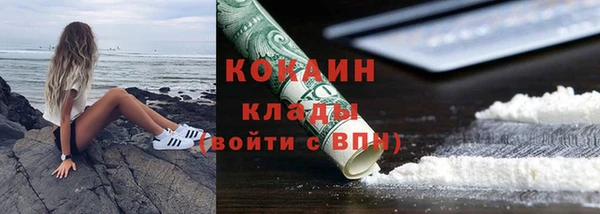МДПВ Богородск
