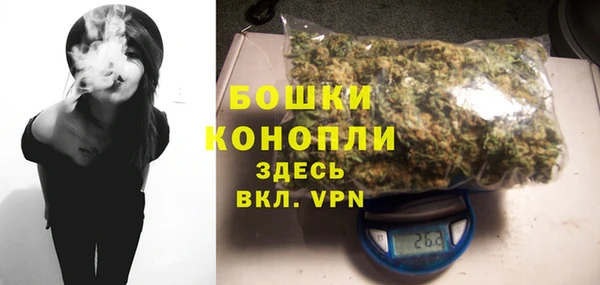 МДПВ Богородск