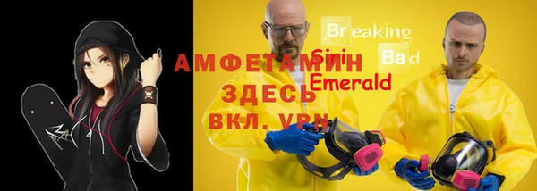 мдпв Богданович