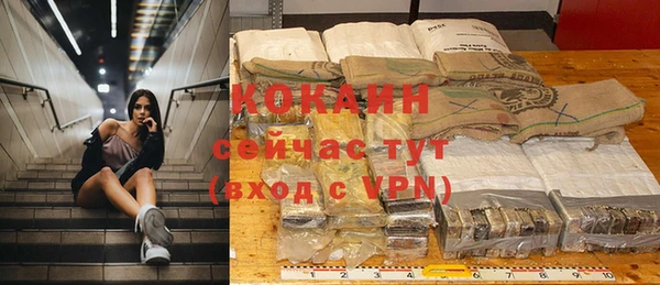 мдпв Богданович