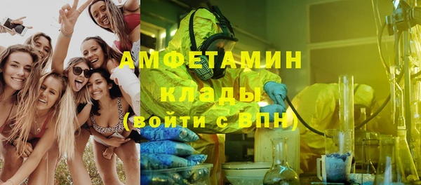 мдпв Богданович