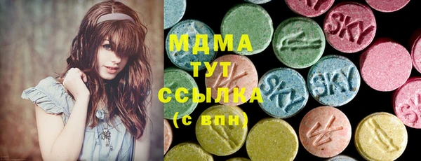 мдпв Богданович